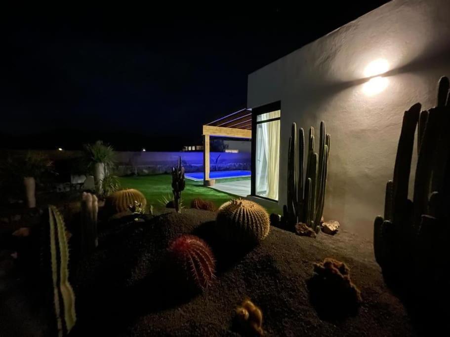 Bungalow + Piscina Independiente La Oliva Exteriér fotografie